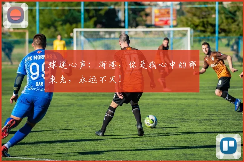 球迷心声：海港，你是我心中的那束光，永远不灭！